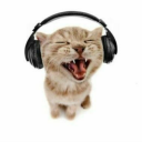 techieinthewings avatar