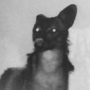 techn0babylon avatar