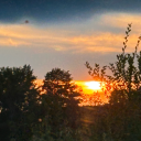 technicallyfreshflower avatar