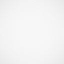 technicallyironfox avatar