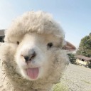 technicallyno avatar