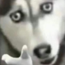 technicallysonerd avatar