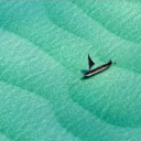 technicoloraid avatar