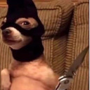 technicolorsoul avatar