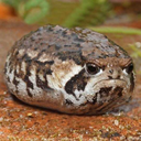 technodude1997 avatar