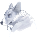 techsupportdog avatar