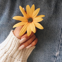 tecontarosmeussegredos avatar