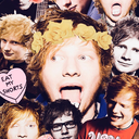 teddy-eddy-sheeran avatar