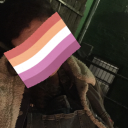 teddybear-les avatar