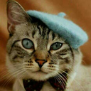 teddybear1644 avatar