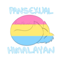 teddybeargummybear avatar