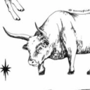 teddygirl2003 avatar