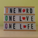 teddysoldbird avatar