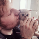 teddyspawprint avatar