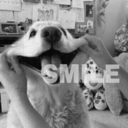 tedoycomo-hipster-ala-nutella avatar