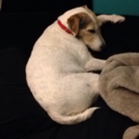 teenage-dilf-blog avatar