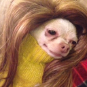 teenageaffairs avatar