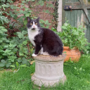 teenageconnoisseurmentality avatar