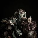 teenagedirt-fag avatar