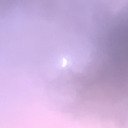 teenagepeachsharkrebel avatar