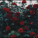 teenagetrashbanana avatar