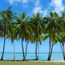 teenspirit7-11-blog avatar