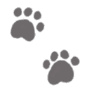 teensytoddlerr avatar