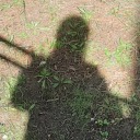 teenwolf-teenage avatar