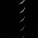 teenwolf3bwatch avatar