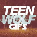 teenwolfgif-blog avatar