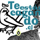 teestancagando-blog avatar