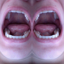 teeth-magnet avatar