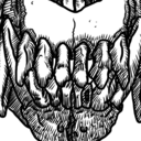 teethclawstailshorns avatar