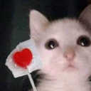 teethinmyneck avatar