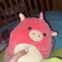 teethwindsight avatar