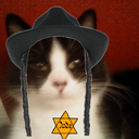 teh-anon-kitteh avatar