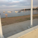 tekilasizlimon avatar