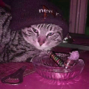 tekirgibikayboldukhepimiz avatar