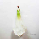 tekvesonsahne avatar