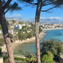 telhamleunamme avatar