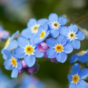 tell-me-what-it-tastes-like avatar