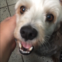 tellers-other-blog avatar