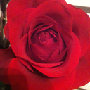 telleveryonetheyrewrong-blog avatar