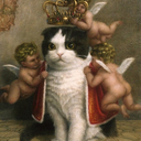 tellingallthoselies avatar