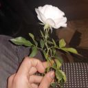 tembelmatematikci avatar