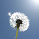 tembloredelcielo avatar