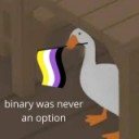 temp-beanboi avatar