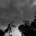 tempatpulaang avatar