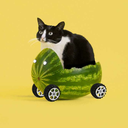 tempestad-pura avatar