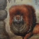 tempestasultima avatar